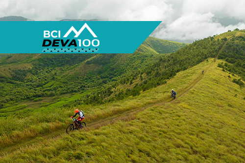 logo bci deva100